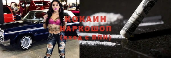 гидра Елабуга