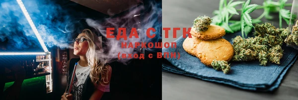 гидра Елабуга