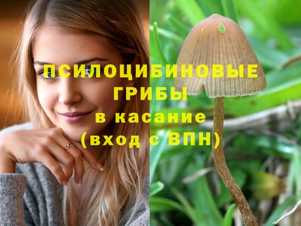 мдпв Елизово