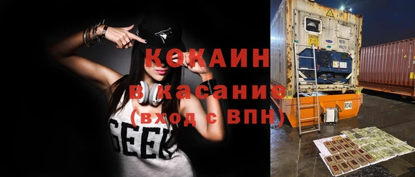 гидра Елабуга