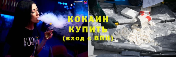 мдпв Елизово