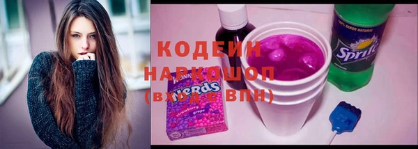 индика Заводоуковск