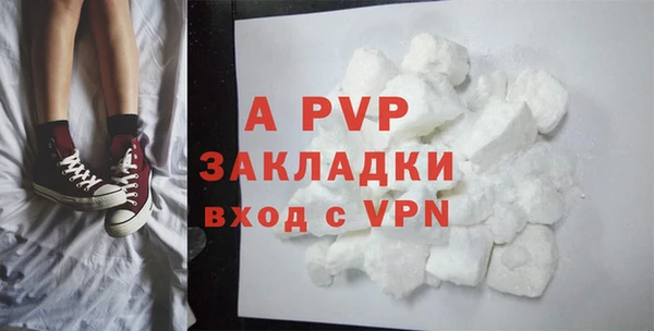 гидра Елабуга