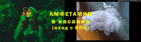 гидра Елабуга