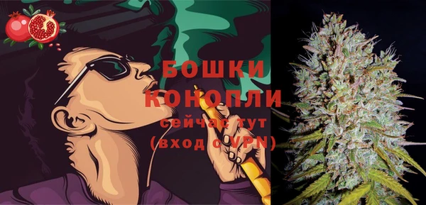 мдпв Елизово