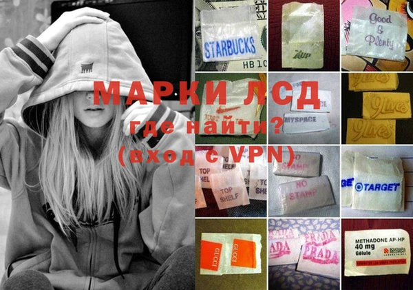 гидра Елабуга