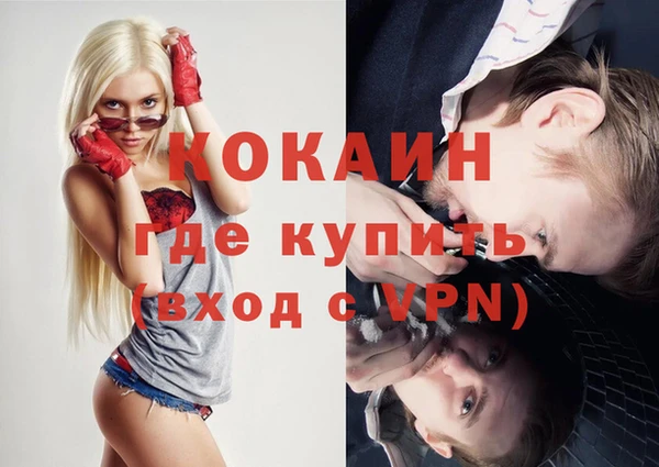 гидра Елабуга