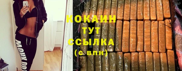 мдпв Елизово