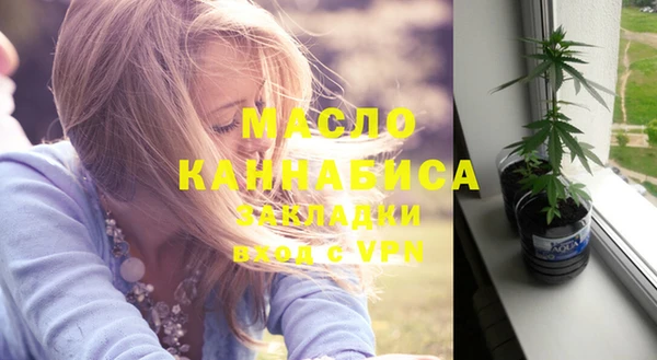 гидра Елабуга