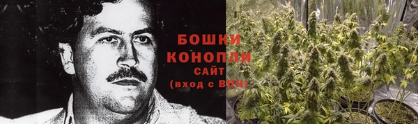 мдпв Елизово