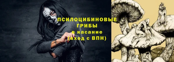 мдпв Елизово
