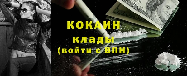 гидра Елабуга